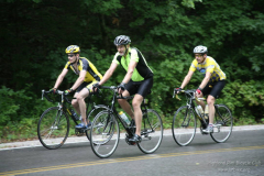 2008_ERV_184_8701598157_o
