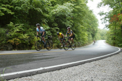 2008_ERV_193_8701597711_o