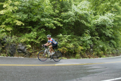 2008_ERV_195_8701597615_o