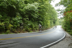 2008_ERV_241_8701623549_o