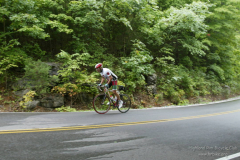 2008_ERV_242_8702745496_o