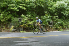 2008_ERV_250_8701623053_o