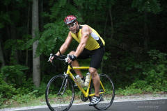 2008_ERV_271_8701622121_o