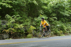2008_ERV_311_8701620363_o