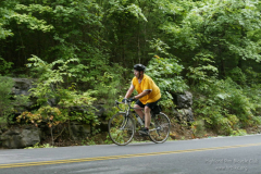 2008_ERV_312_8701620293_o