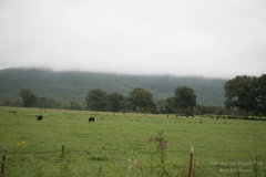 2008_ERV_364_8701617731_o