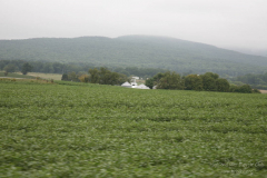 2008_ERV_410_8701709853_o