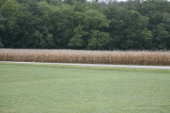 2008_ERV_414_8702830744_o