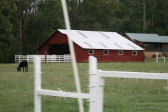 2008_ERV_416_8701709595_o