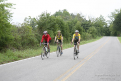 2008_ERV_428_8701709015_o