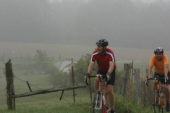 2008_ERV_449_8701707975_o