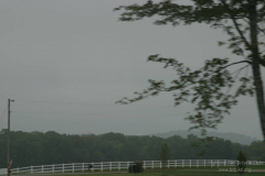 2008_ERV_473_8701707191_o