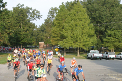 2009_ERV_8702080078_o