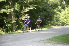 2009_ERV_8702083672_o