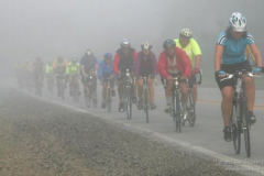 fm0723RAGBRAI-Riders emerge from the fog along Hwy 92 between Ackworth and Sandyville. RAGBRAI goes from Indianola to Chariton on Wednesday. Mary Chind/The Des Moines Register