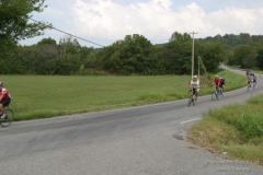 2010_ERV_100_8700901759_o