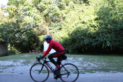 2011_ERV_170_8700846031_o