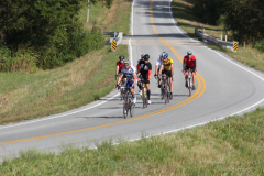 2011_ERV_209_8700862487_o