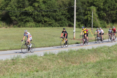 2011_ERV_212_8700862327_o