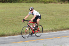 2011_ERV_241_8700861063_o