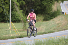 2011_ERV_266_8701983966_o