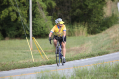 2011_ERV_275_8700859681_o
