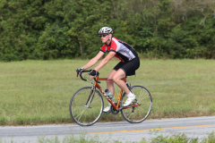 2011_ERV_291_8701983052_o