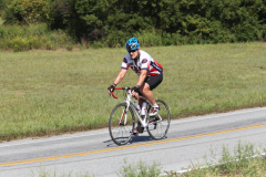 2011_ERV_326_8701981622_o