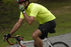 2012_ERV_cb-039_8701038888_o