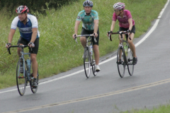 2012_ERV_cb-484_8701056484_o