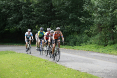 2012_ERV_mb-008_8699881925_o
