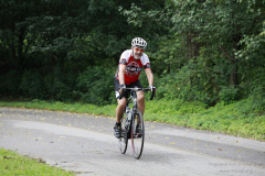2012_ERV_mb-024_8701003844_o