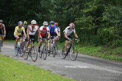 2012_ERV_mb-042_8701002972_o
