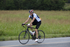 2012_ERV_mb-207_8701014008_o
