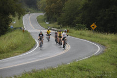 2012_ERV_mb-211_8701013848_o