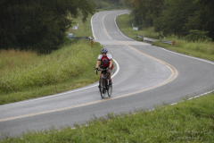 2012_ERV_mb-219_8701013516_o