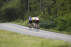 2012_ERV_mb-233_8699890059_o