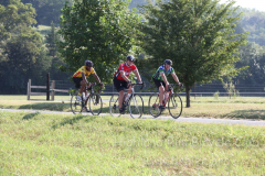 2013_ERV_mb_img_1542_9702350313_o