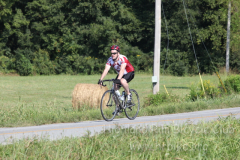 2013_ERV_mb_img_1595_9705577880_o