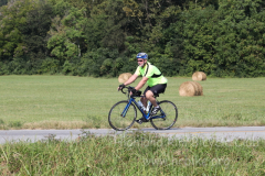 2013_ERV_mb_img_1602_9705577028_o