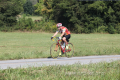 2013_ERV_mb_img_1611_9702342425_o