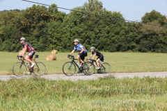 2013_ERV_mb_img_1625_9705574014_o