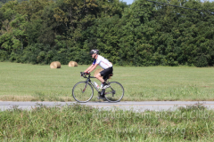 2013_ERV_mb_img_1626_9705573854_o