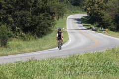 2013_ERV_mb_img_1627_9705573728_o
