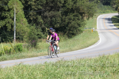 2013_ERV_mb_img_1630_9702340047_o