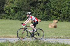 2013_ERV_mb_img_1650_9702337525_o