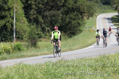 2013_ERV_mb_img_1673_9705568046_o