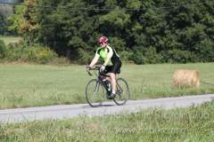 2013_ERV_mb_img_1674_9702334483_o
