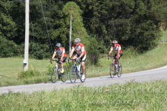 2013_ERV_mb_img_1695_9705565462_o