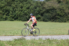 2013_ERV_mb_img_1698_9705564908_o